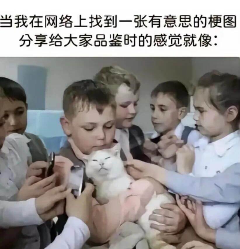 当我在网络上找到一张有意思的梗图，分享给大家品鉴时的感觉就像