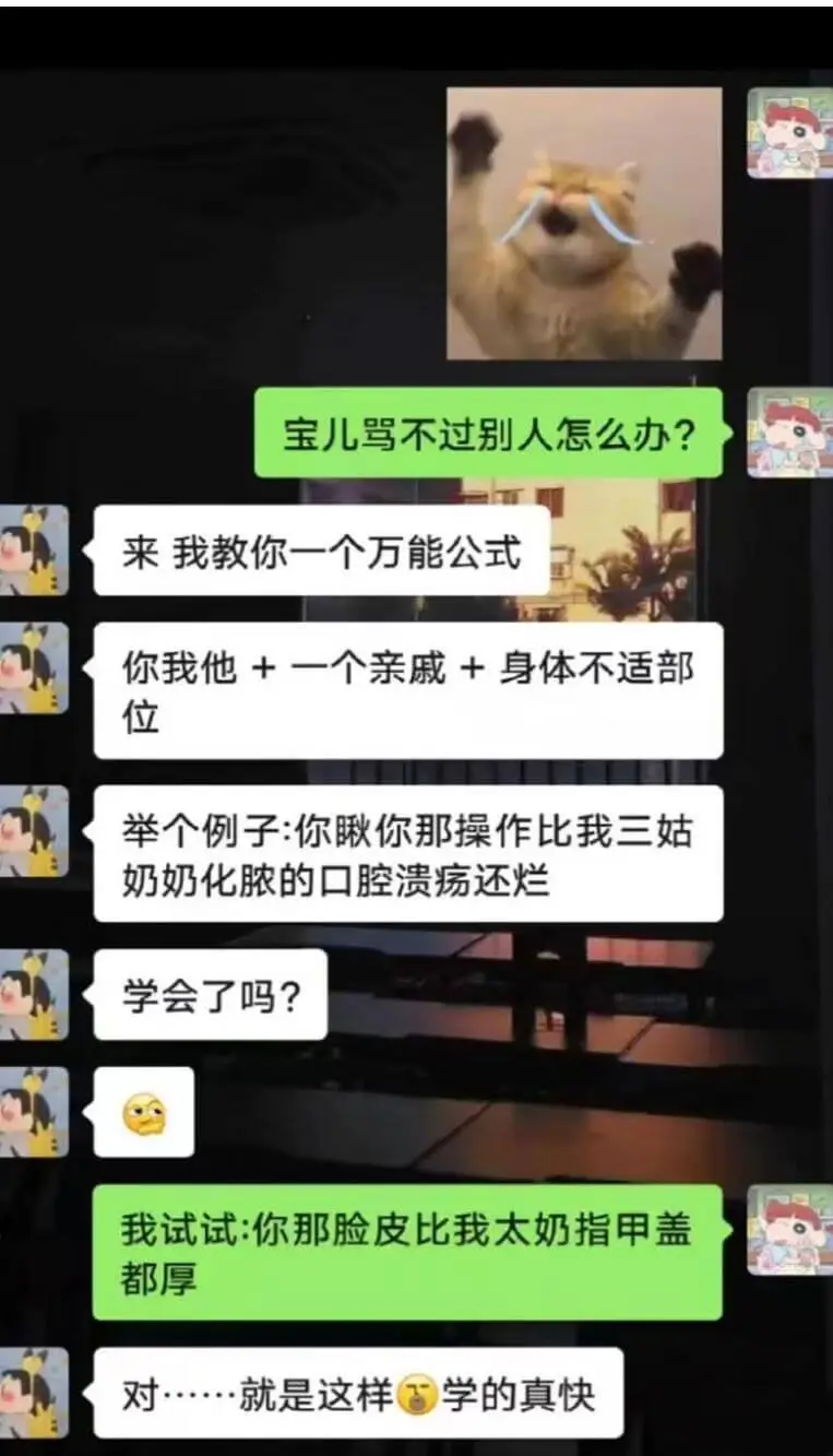 宝儿骂不过别人怎么办？来我教你一个万能公式：你我他+一个亲戚