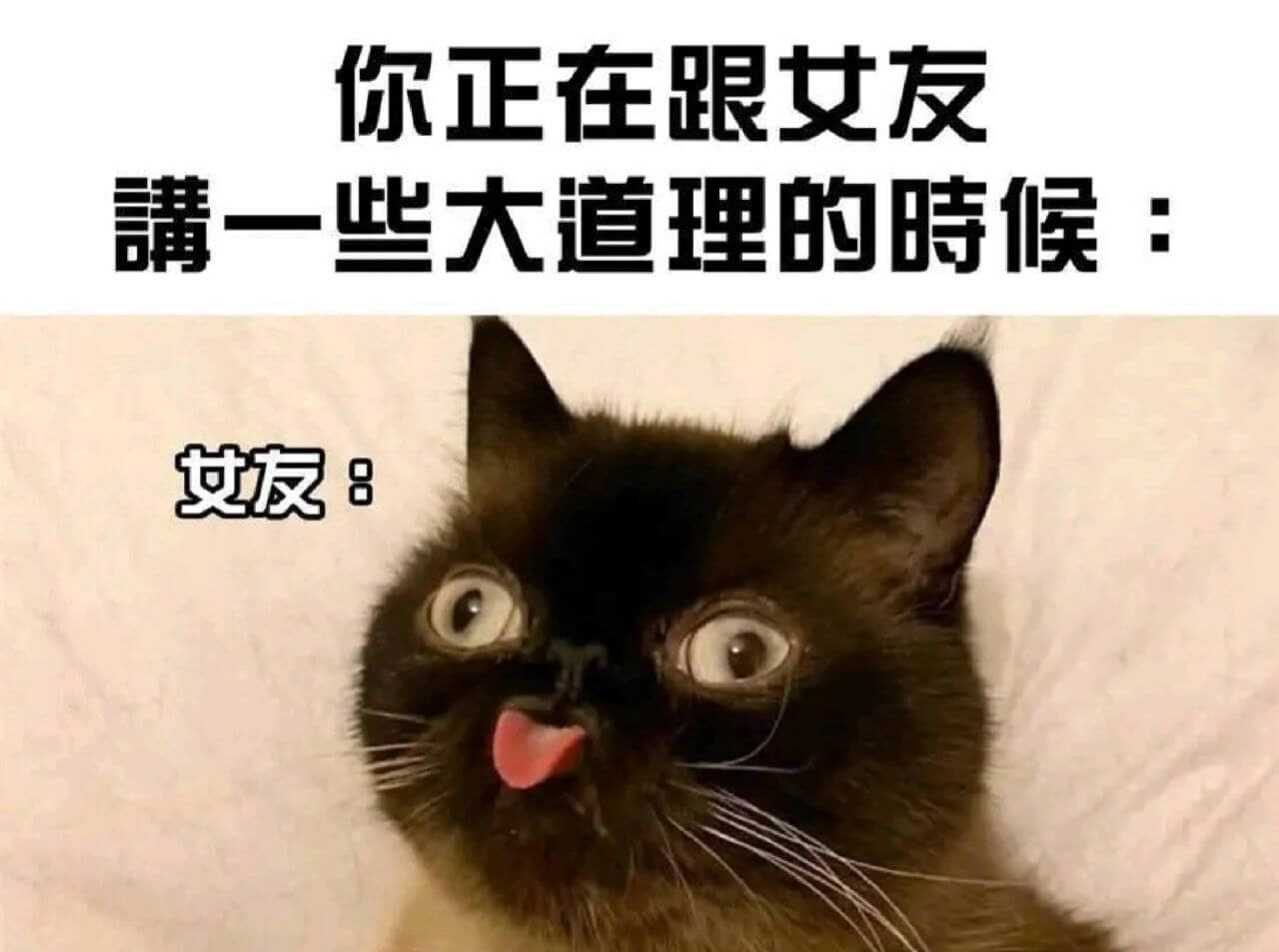 你正在跟女友一大道理的时候：女友D