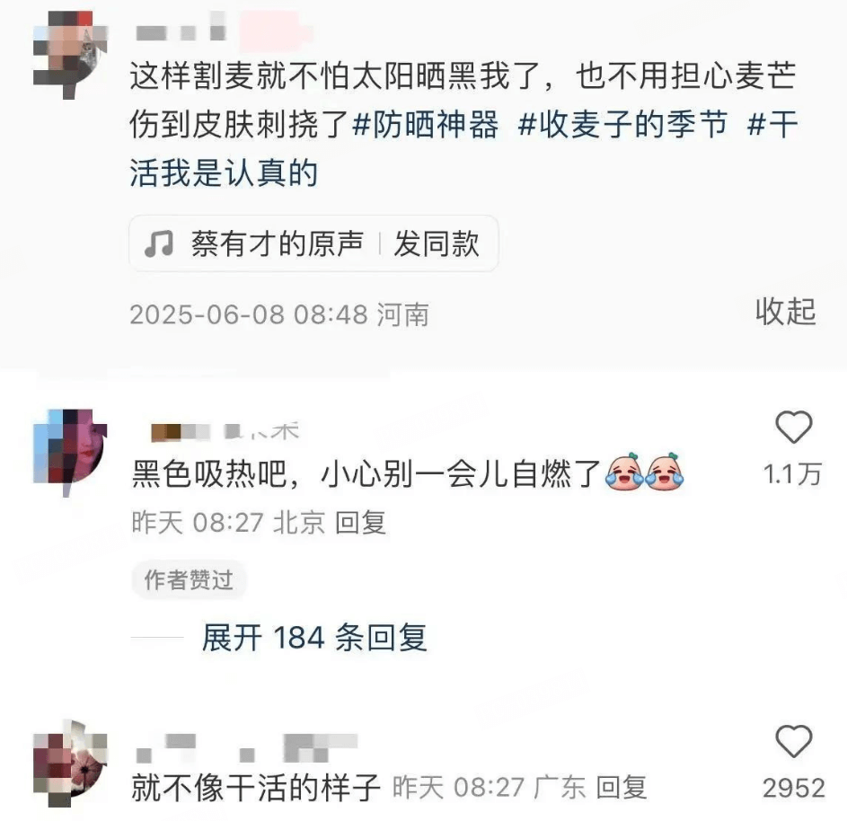 这样割麦就不怕太阳晒黑我了，也不用担心麦芒伤到皮肤刺挠了。防