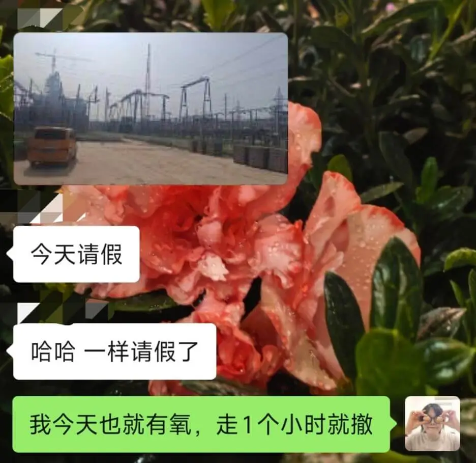 今天请假。哈哈,一样请假了。我今天也就有氧,走1个小时就撤。