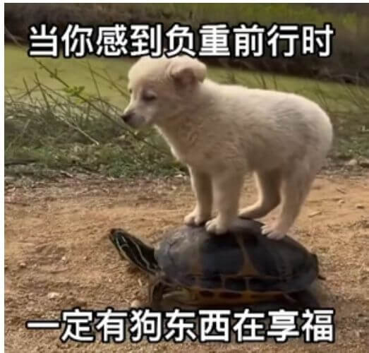 当你感到负重前行时，一定有狗东西在享福。