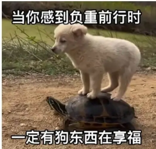 当你感到负重前行时，一定有狗东西在享福。
