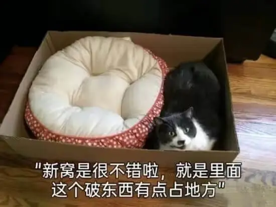 新窝是很不错啦，就是里面这个破东西有点占地方