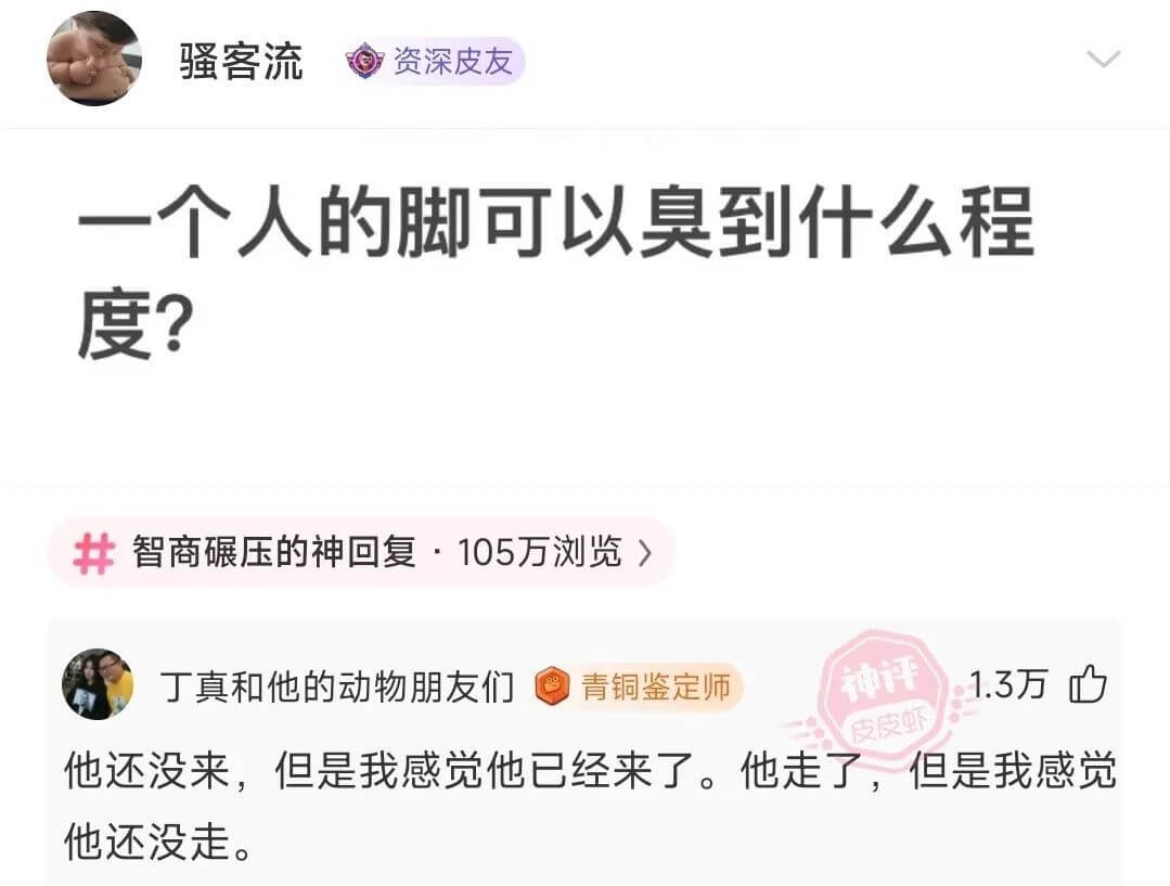 一个人的脚可以臭到什么程度?智商碾压的神回复·105万浏览丁