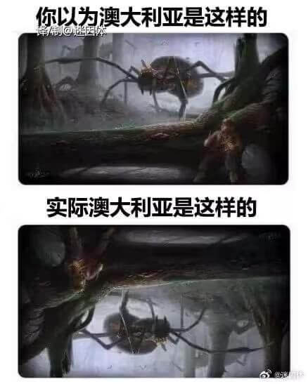 你以为澳大利亚是这样的，实际澳大利亚是这样的。