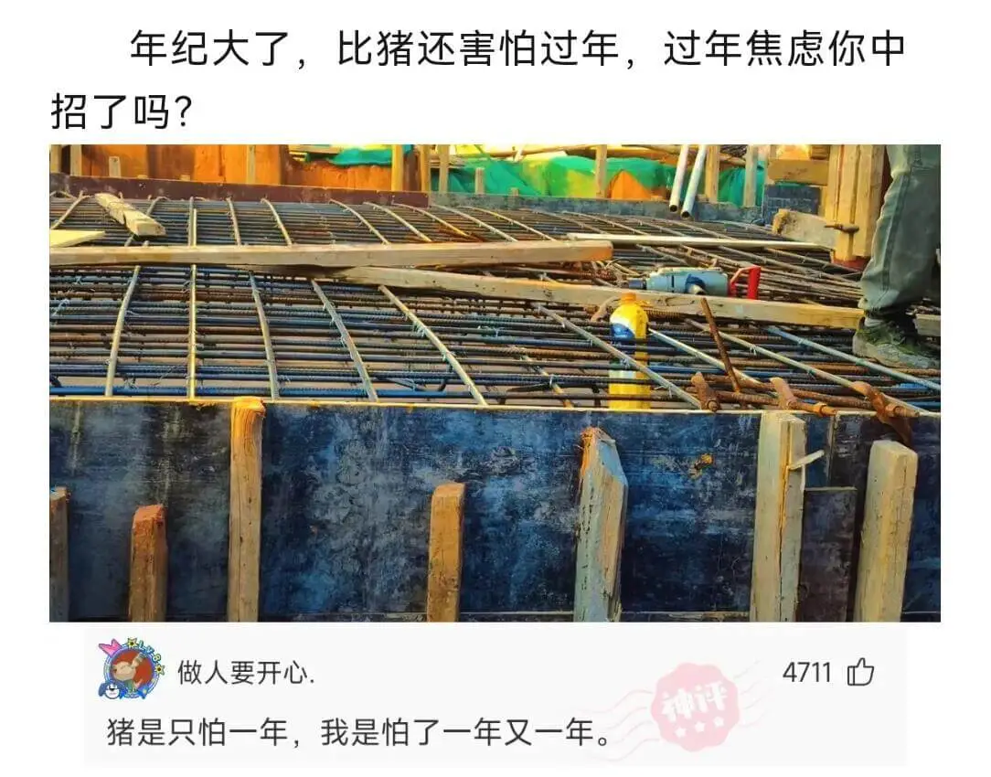 年纪大了，比猪还害怕过年，过年焦虑你中招了吗？做人要开心。猪