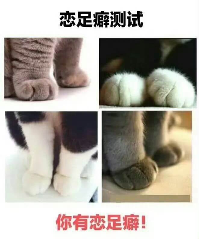 恋足癖测试你有恋足癖！