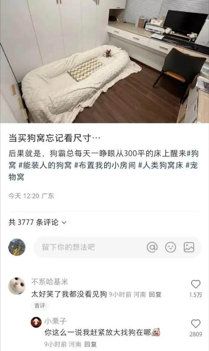 当买狗窝忘记看尺寸，后果就是，狗霸总每天一睁眼从300平的床