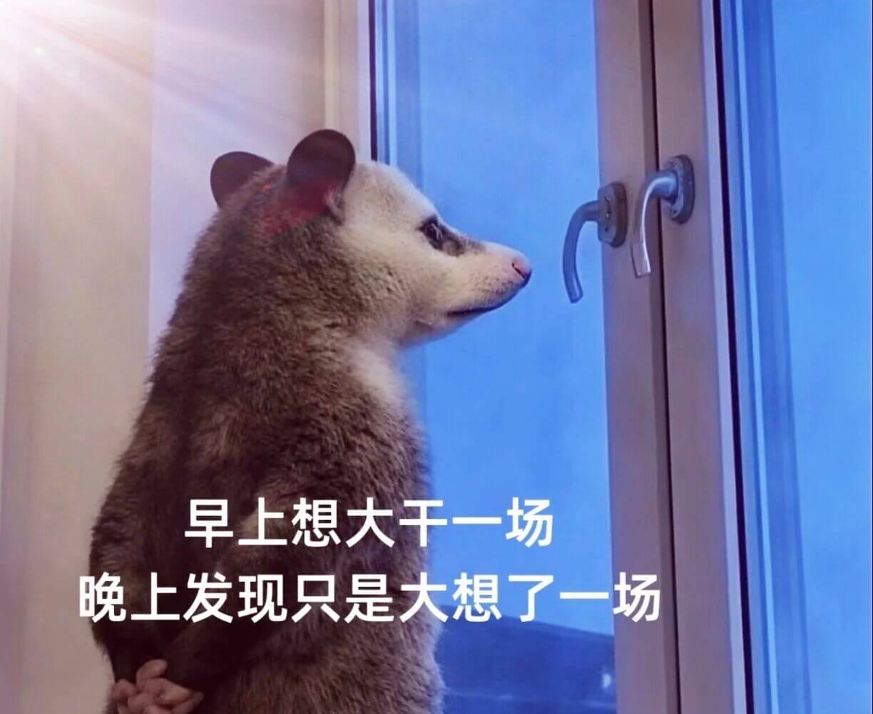 早上想大干一场，晚上发现只是大想了一场。