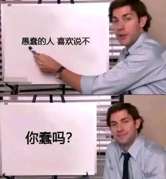 愚蠢的人喜欢说不你蠢吗？