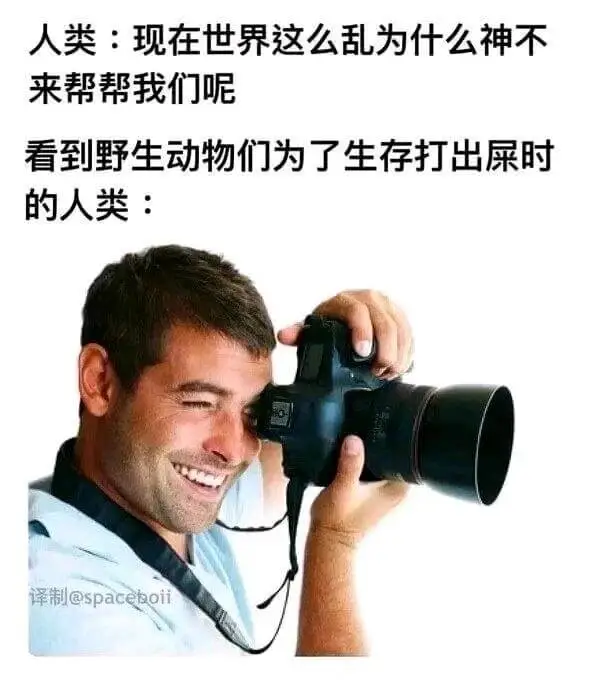 人类：现在世界这么乱，为什么神不来帮帮我们呢？看到野生动物们