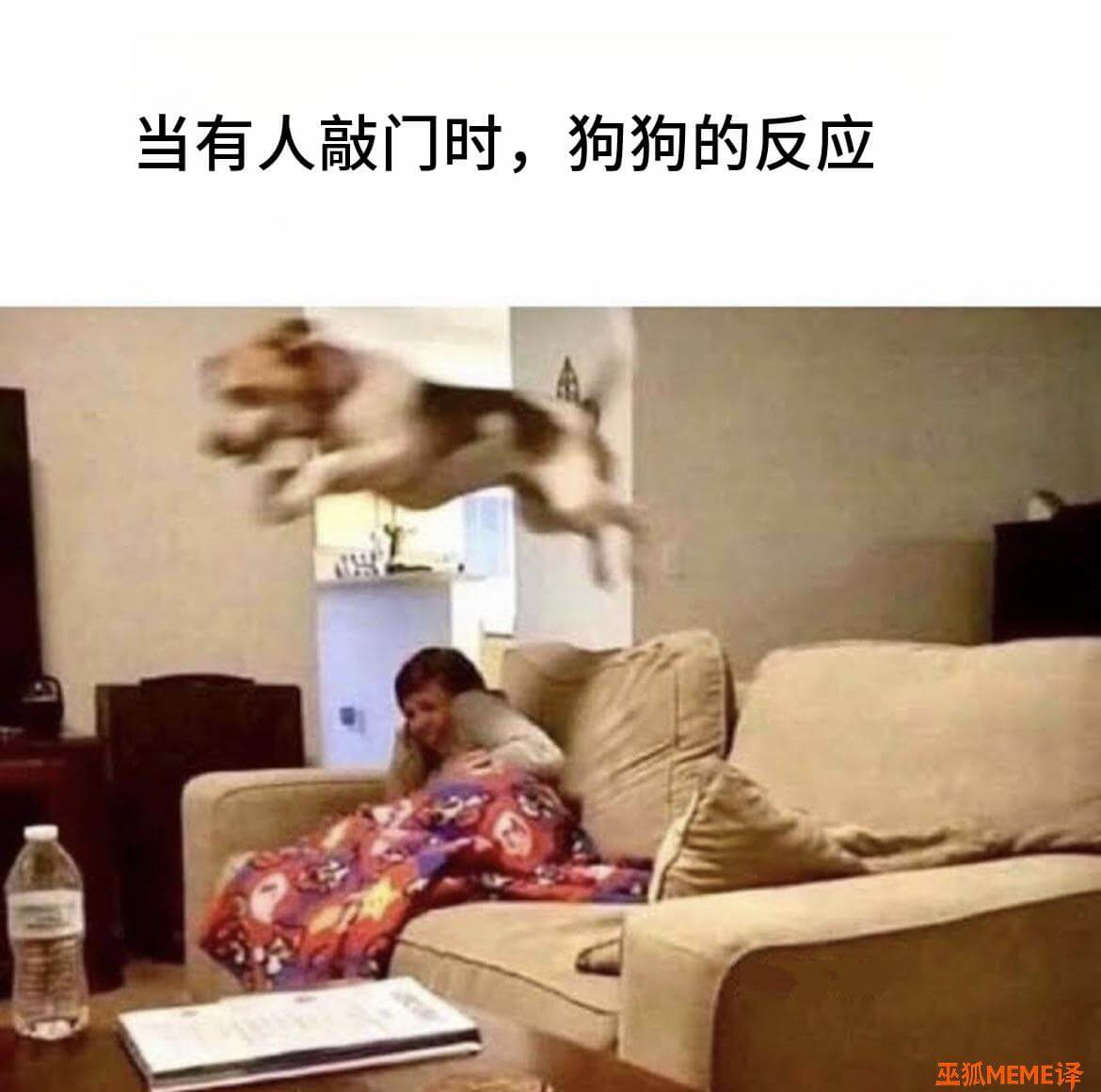 当有人敲门时，狗狗的反应巫狐MEME译
