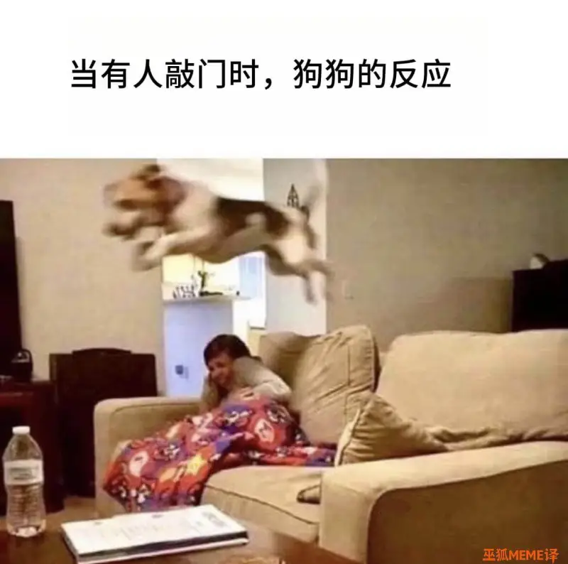 当有人敲门时，狗狗的反应巫狐MEME译