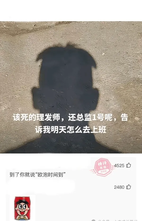 该死的理发师，还总监1号呢，告诉我明天怎么去上班神评：452