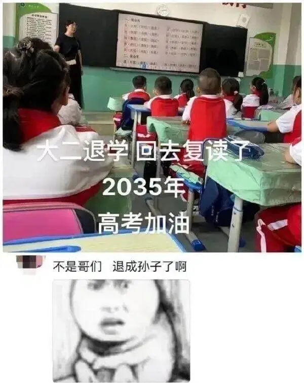 a/大二退学，回去复读了。2035年高考加油！不是哥们，退成