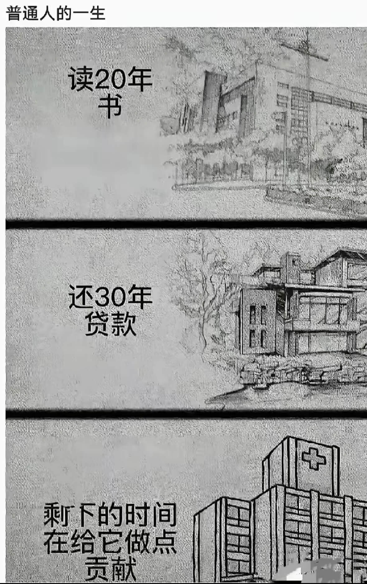 普通人的一生读20年书还30年贷款剩下的时间在给它做点贡献