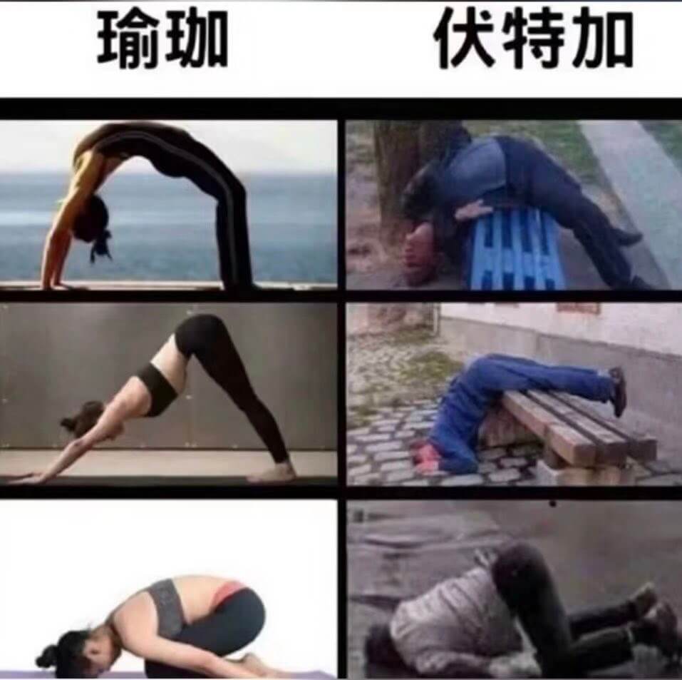 瑜伽伏特加