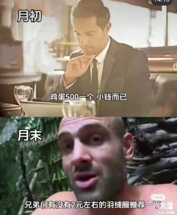 月初鸡蛋500一个小钱而已月末兄弟们有没有2元左右的羽绒服推
