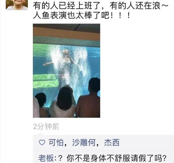 有的人已经上班了，有的人还在浪～人鱼表演也太棒了吧！！！2分