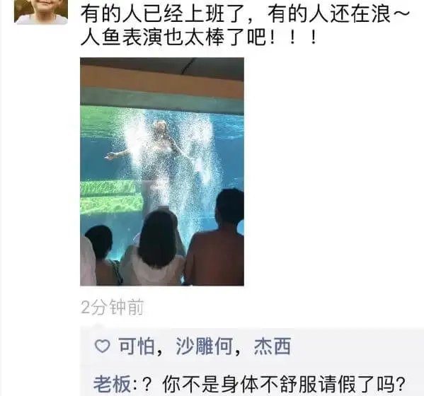 有的人已经上班了，有的人还在浪～人鱼表演也太棒了吧！！！2分