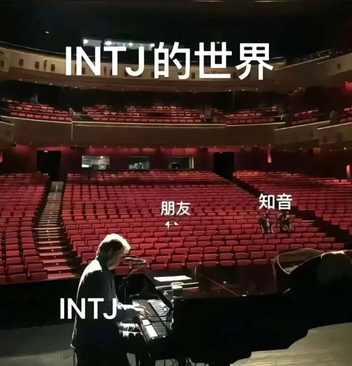 INTJ的世界知音朋友INTJ