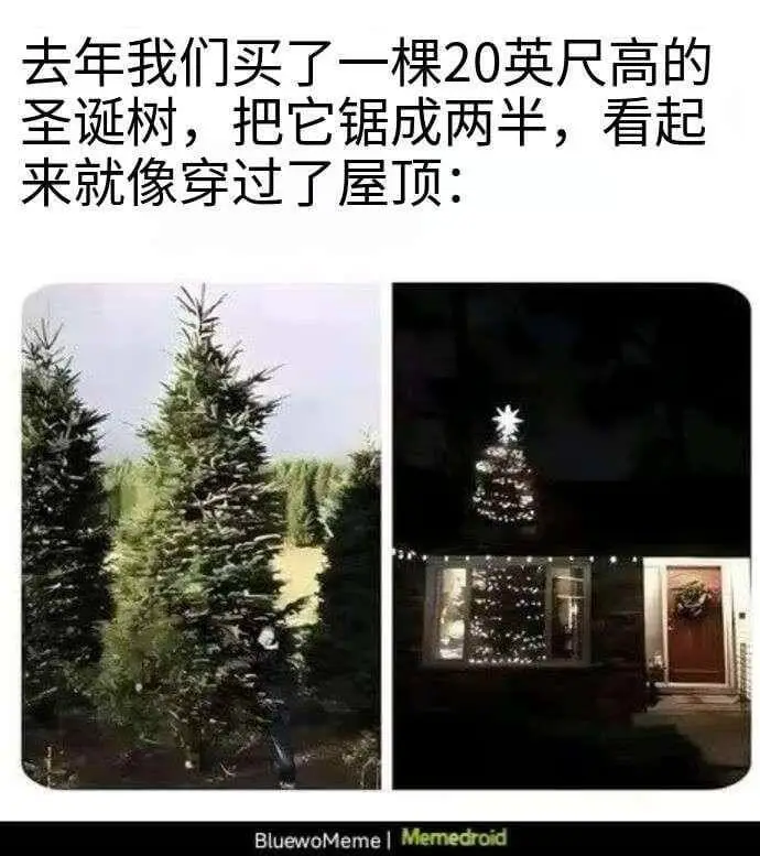 去年我们买了一棵20英尺高的圣诞树，把它锯成两半，看起来就像
