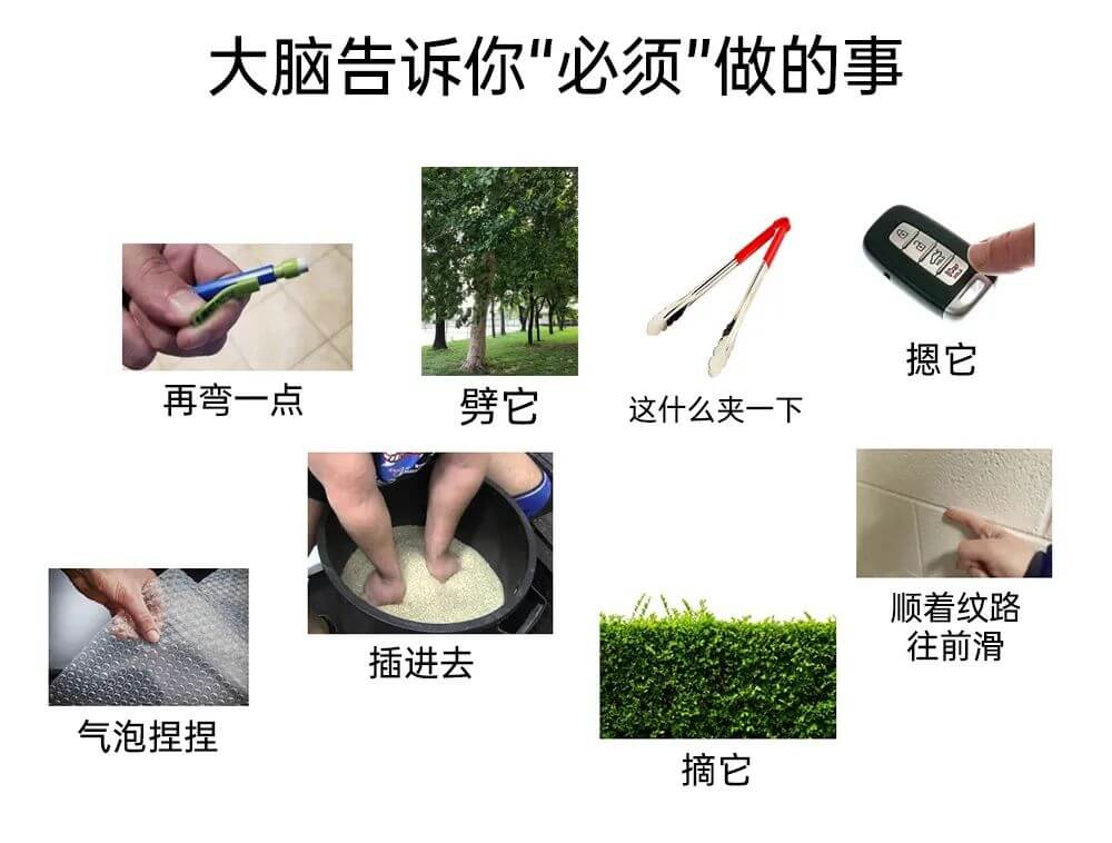 大脑告诉你“必须”做的事再弯一点劈它这什么夹一下摁它气泡捏捏