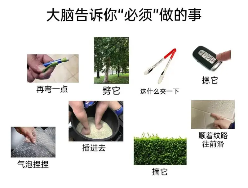 大脑告诉你“必须”做的事再弯一点劈它这什么夹一下摁它气泡捏捏