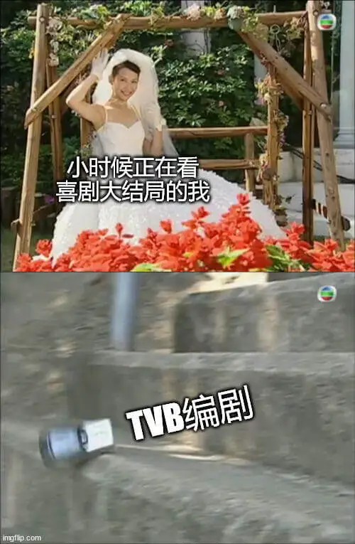 小时候正在看喜剧结局的我，TVB编剧。imgfip.com