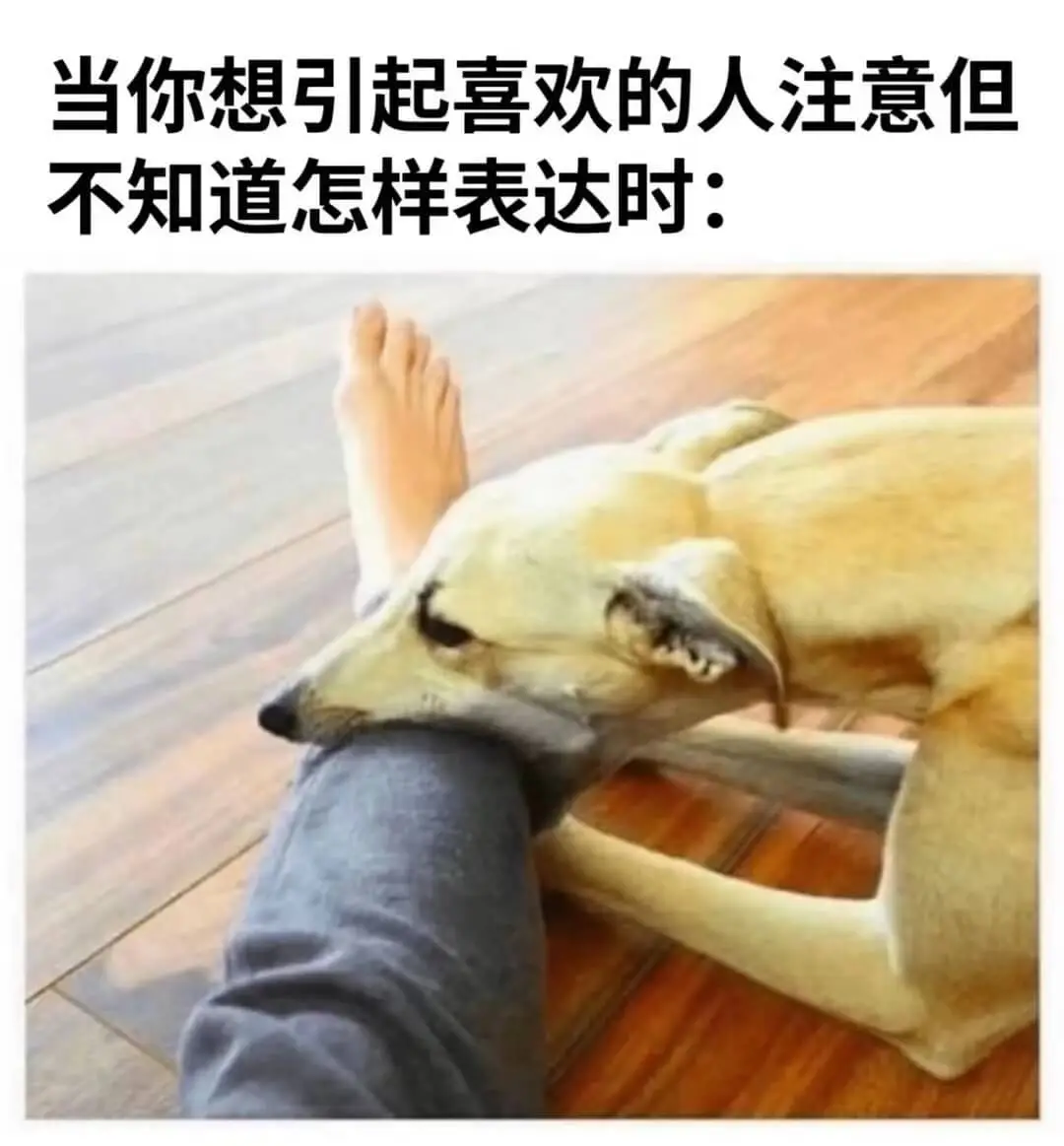 当你想引起喜欢的人注意但不知道怎样表达时：