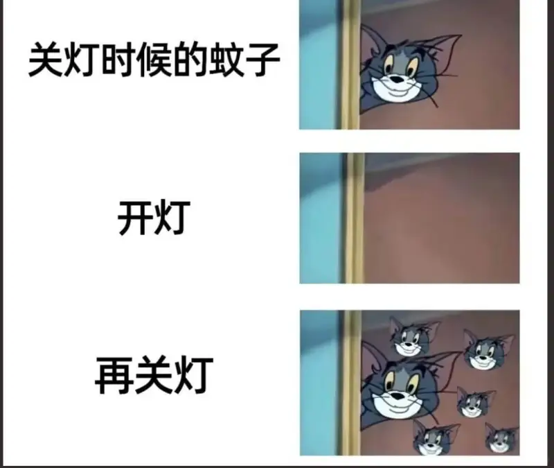 关灯时候的蚊子开灯再关灯