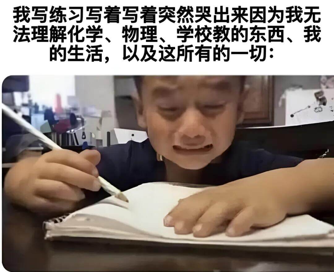 我写练习写看写看突然哭出来，因为我无法理解化学、物理、学校教