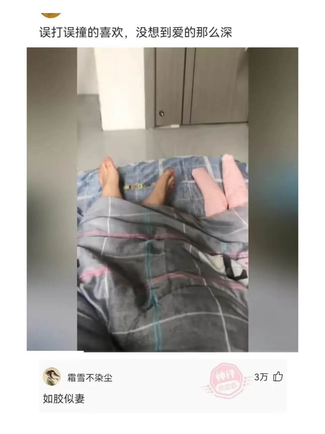 误打误撞的喜欢，没想到爱的那么深霜雪不染尘如胶似妻3万