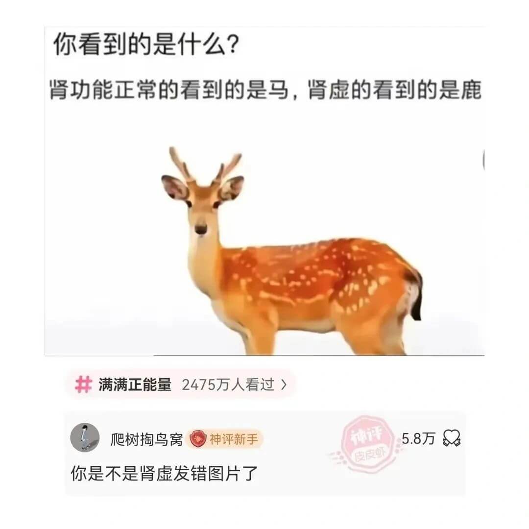 你看到的是什么?肾功能正常的看到的是马，肾虚的看到的是鹿。满