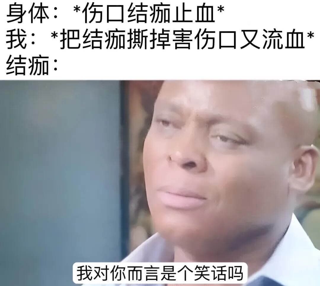 身体：*伤口结瘀止血我：*把结痴撕掉害伤口又流血结：我对你而