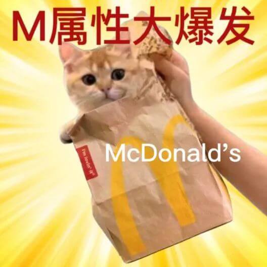 M属性大爆发McDonalds