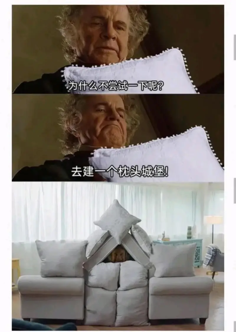 为什么不尝试一下呢?去建一个枕头城堡!