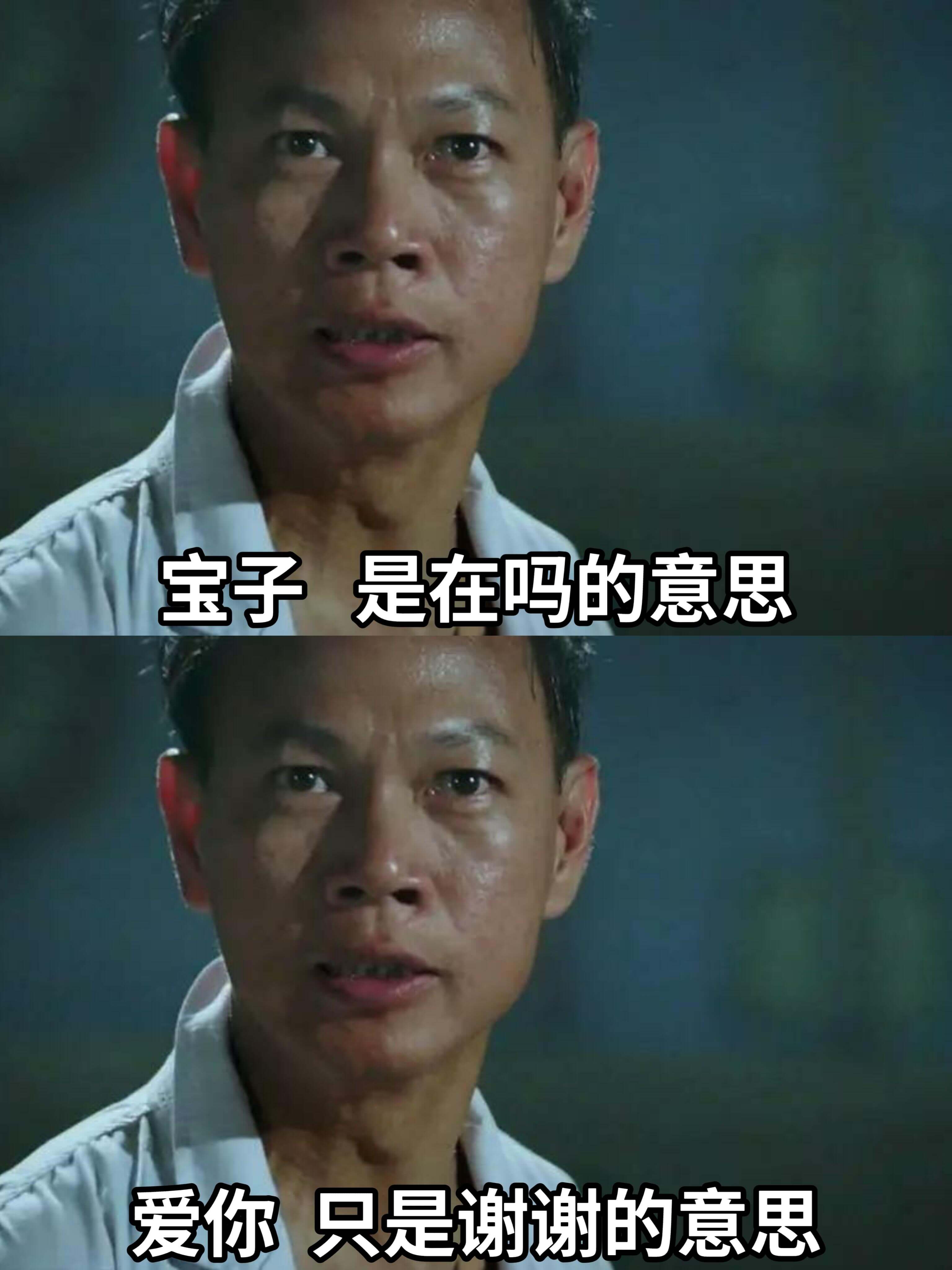 宝子是在吗的意思爱你只是谢谢的意思