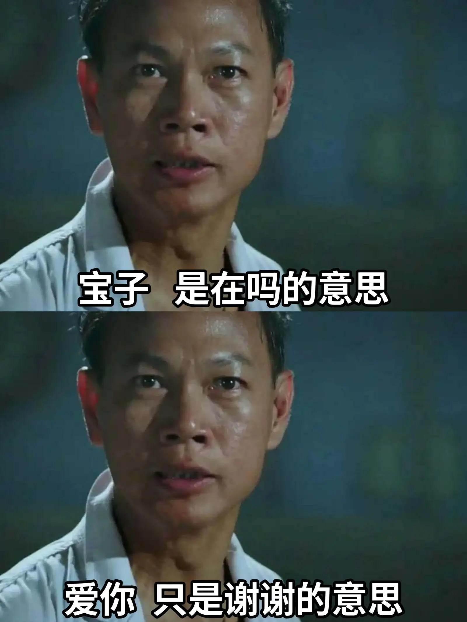 宝子是在吗的意思爱你只是谢谢的意思