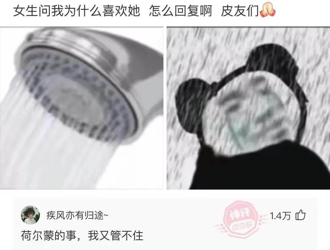 女生问我为什么喜欢她，怎么回复啊，皮友们。疾风亦有归途~荷尔