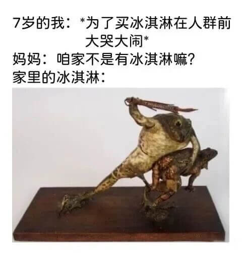 7岁的我：*为了买冰淇淋在人群前大哭大闹*妈妈：咱家不是有冰