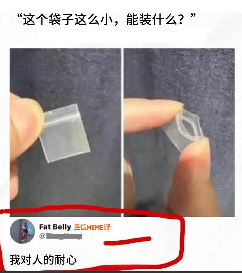 这个袋子这么小，能装什么？FatBelly巫狐MEME译@我