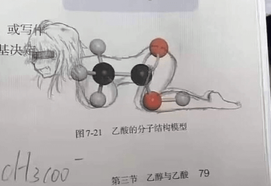 或写图7-21乙酸的分子结构模型第三节乙醇与乙酸79