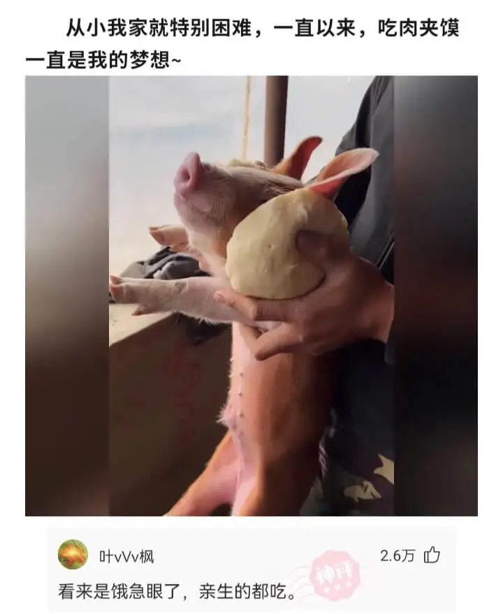 从小我家就特别困难,一直以来,吃肉夹馍一直是我的梦想~叶vV