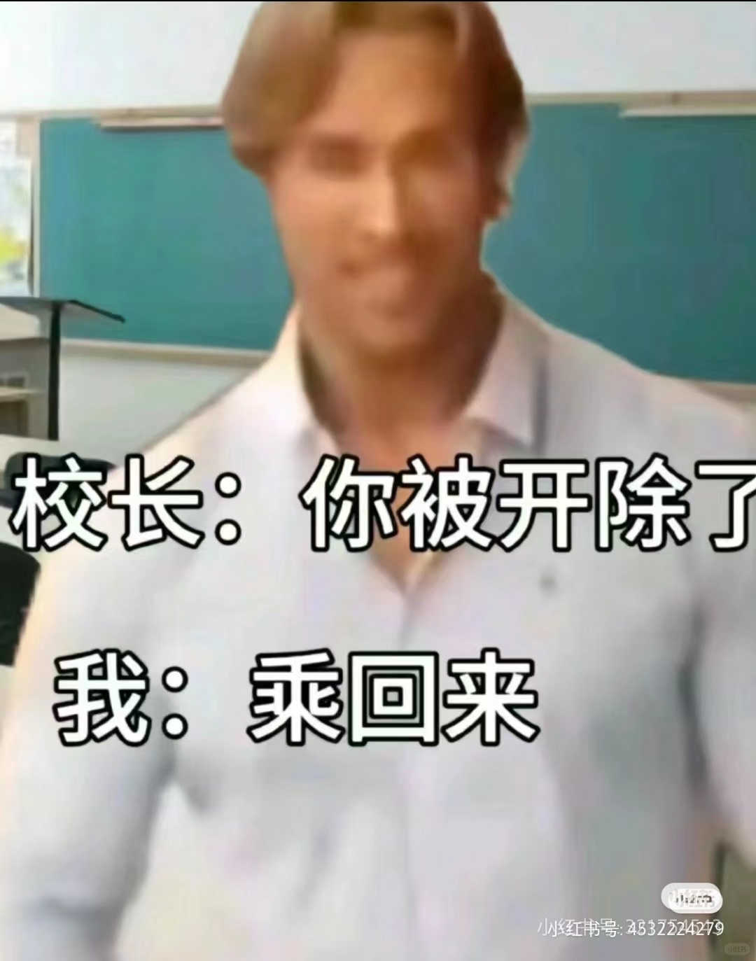 校长：你被开除了。乘回来。小红书号：4532224279