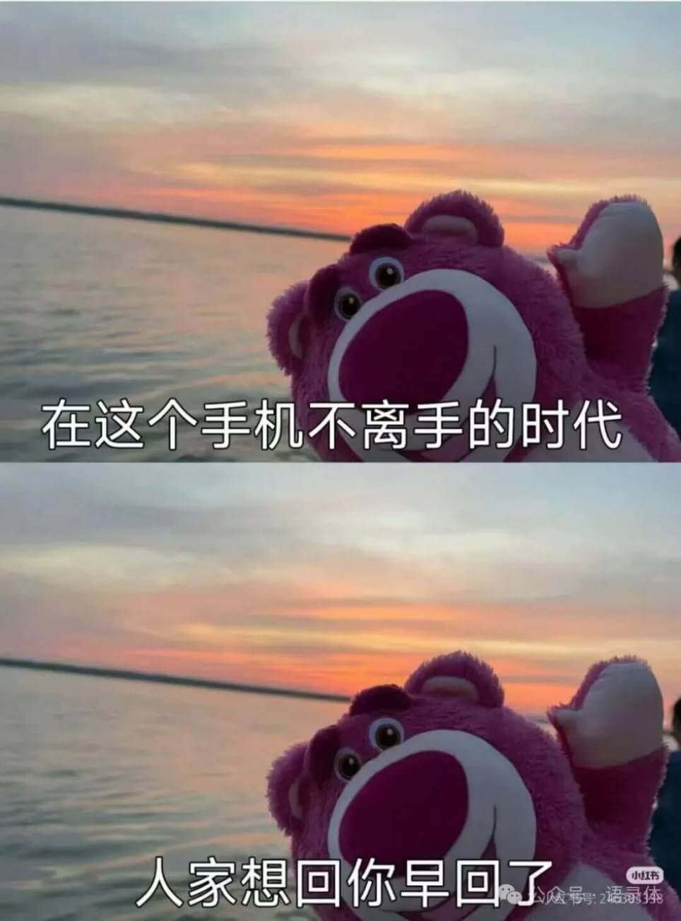 在这个手机不离手的时代，人家想回你早回了。小红书食号2语录体