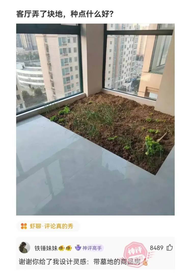 客厅弄了块地，种点什么好?虾聊·评论真的秀铁锤妹妹神评高手8