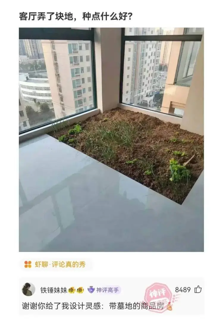 客厅弄了块地，种点什么好?虾聊·评论真的秀铁锤妹妹神评高手8