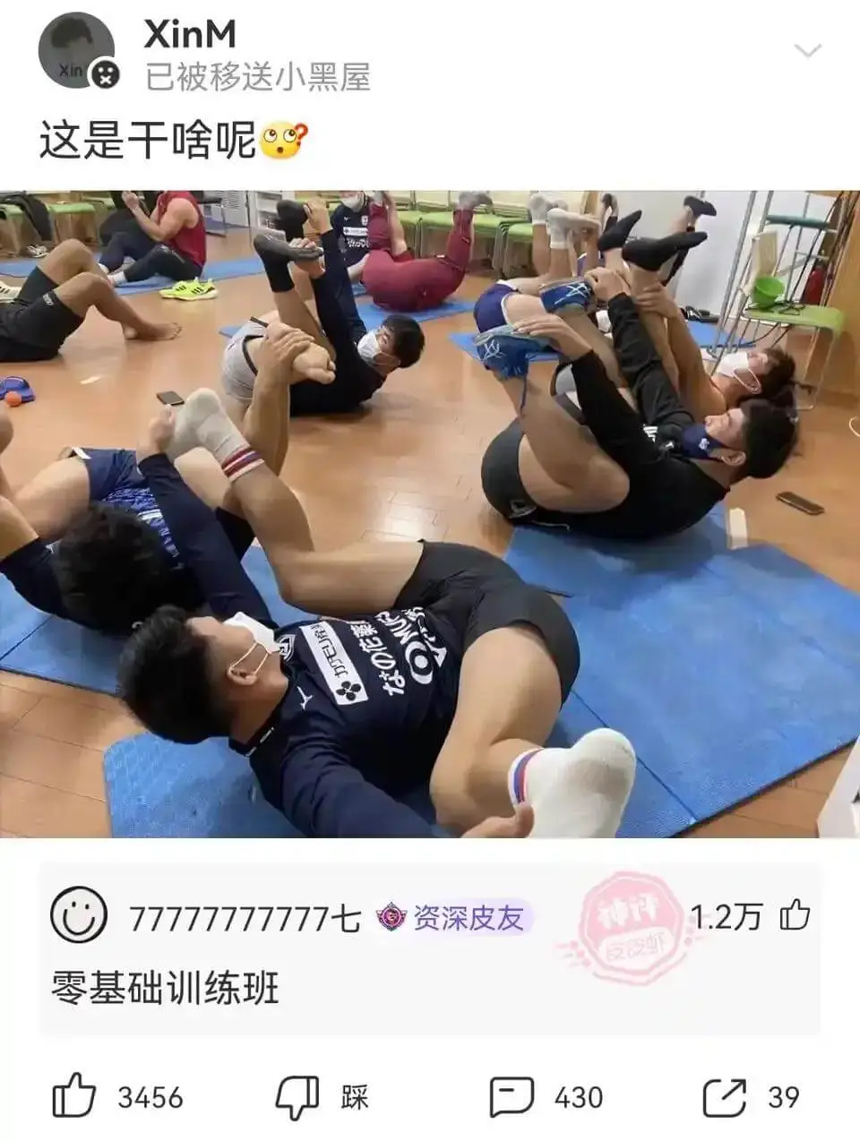 XinM已被移送小黑屋这是干啥呢77777777777七资深